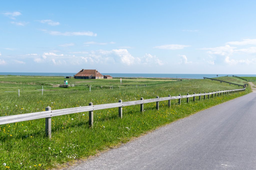 terschelling2023_104.jpg