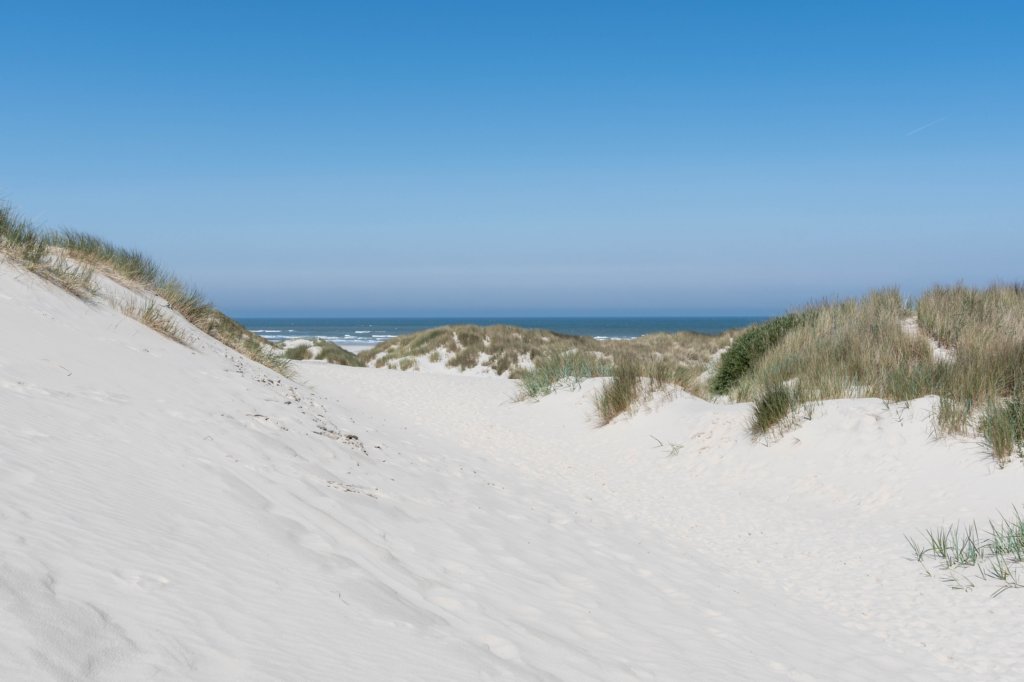 terschelling2023_108.jpg