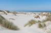terschelling2023_110_small.jpg