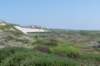 terschelling2023_114_small.jpg