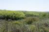 terschelling2023_117_small.jpg