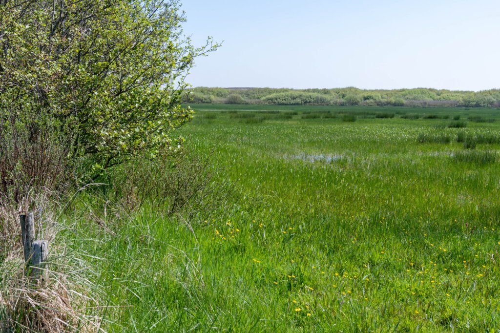 terschelling2023_119.jpg