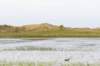 terschelling2023_124_small.jpg