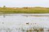 terschelling2023_125_small.jpg