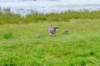 terschelling2023_144_small.jpg