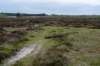 terschelling2023_145_small.jpg