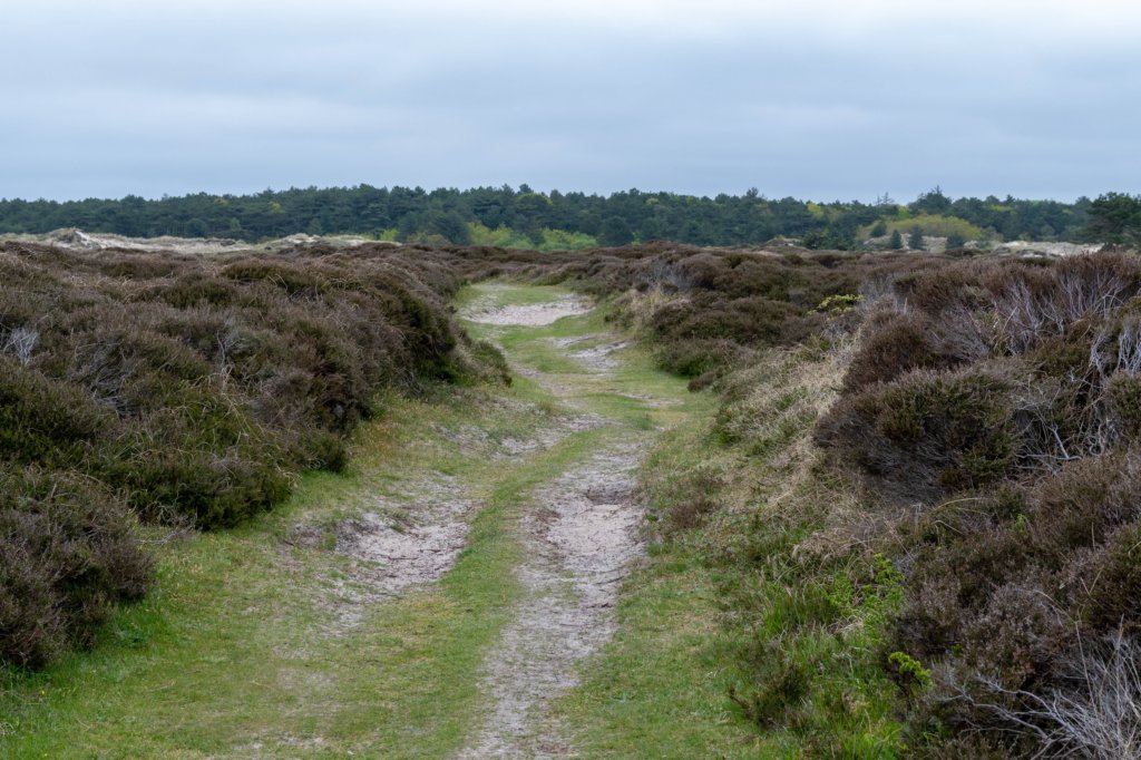 terschelling2023_146.jpg