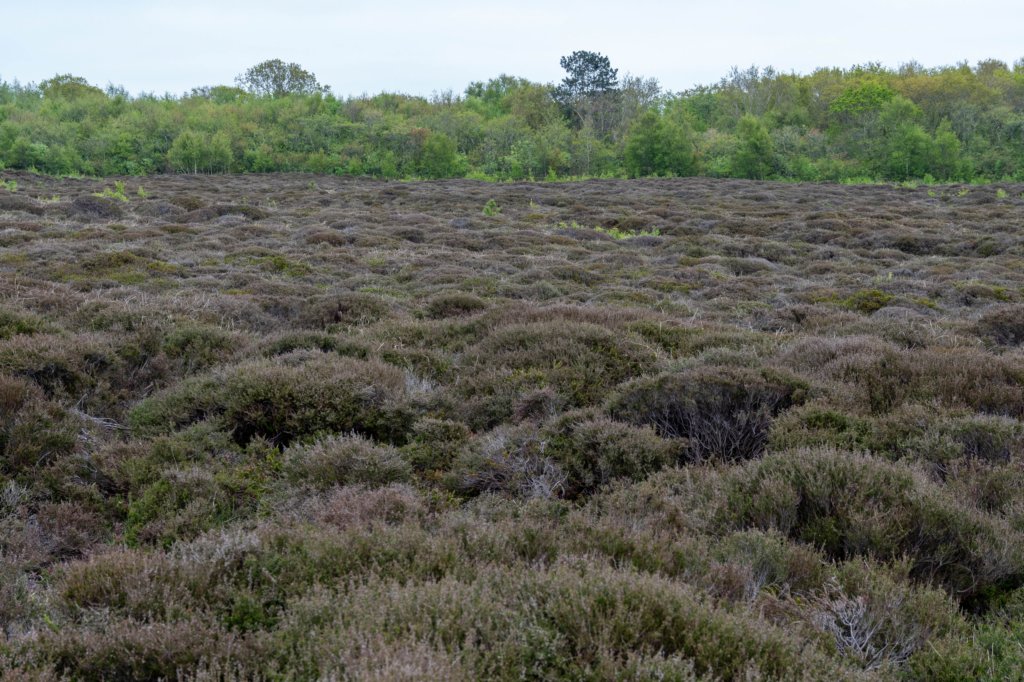 terschelling2023_147.jpg