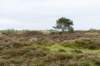 terschelling2023_149_small.jpg