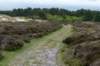 terschelling2023_150_small.jpg