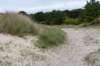 terschelling2023_151_small.jpg