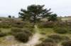 terschelling2023_152_small.jpg