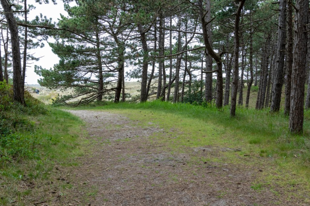 terschelling2023_153.jpg