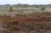 terschelling2023_155_small.jpg