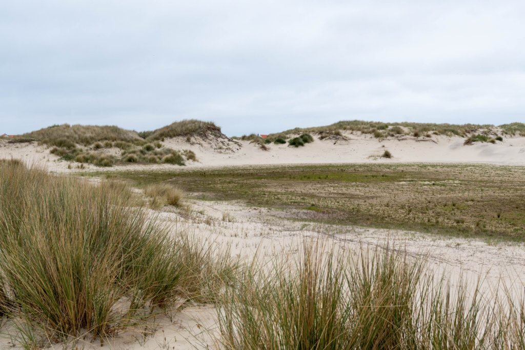 terschelling2023_158.jpg