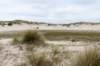 terschelling2023_159_small.jpg