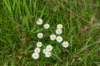 terschelling2023_160_small.jpg