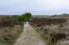 terschelling2023_162_small.jpg