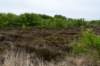 terschelling2023_163_small.jpg