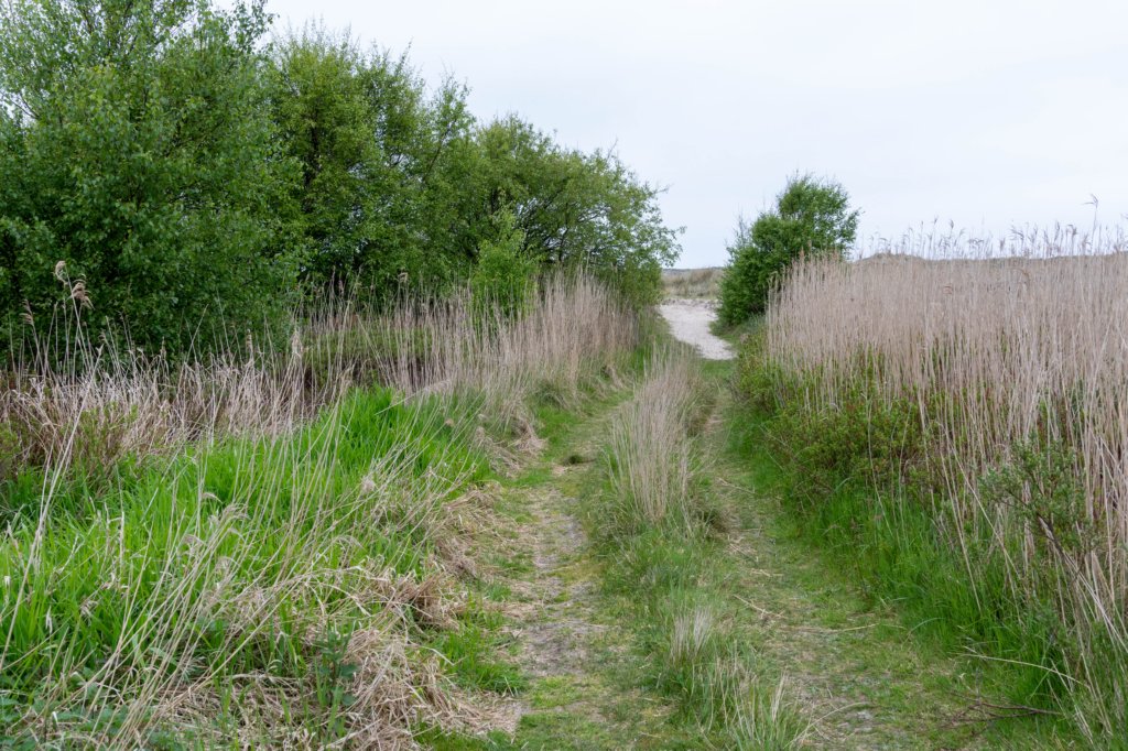 terschelling2023_164.jpg