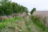 terschelling2023_164_small.jpg