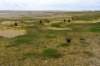terschelling2023_168_small.jpg