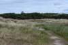 terschelling2023_170_small.jpg