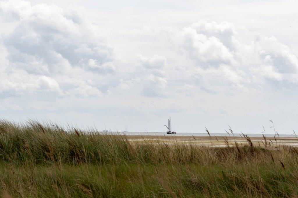terschelling2023_171.jpg