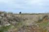 terschelling2023_172_small.jpg