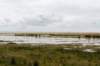 terschelling2023_174_small.jpg