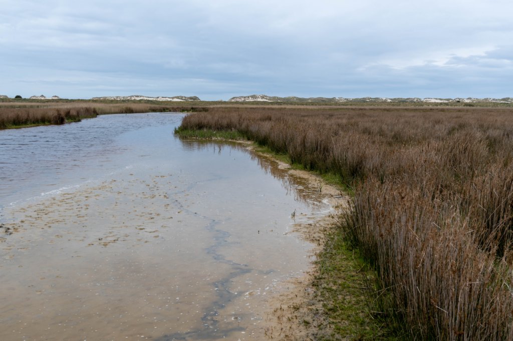 terschelling2023_175.jpg