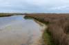 terschelling2023_175_small.jpg