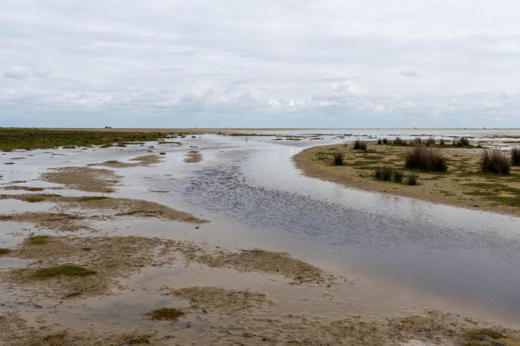 terschelling2023_177.jpg