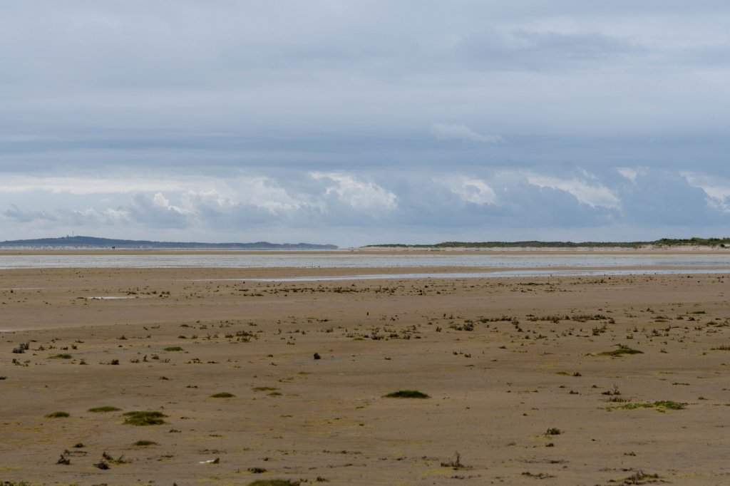 terschelling2023_179.jpg