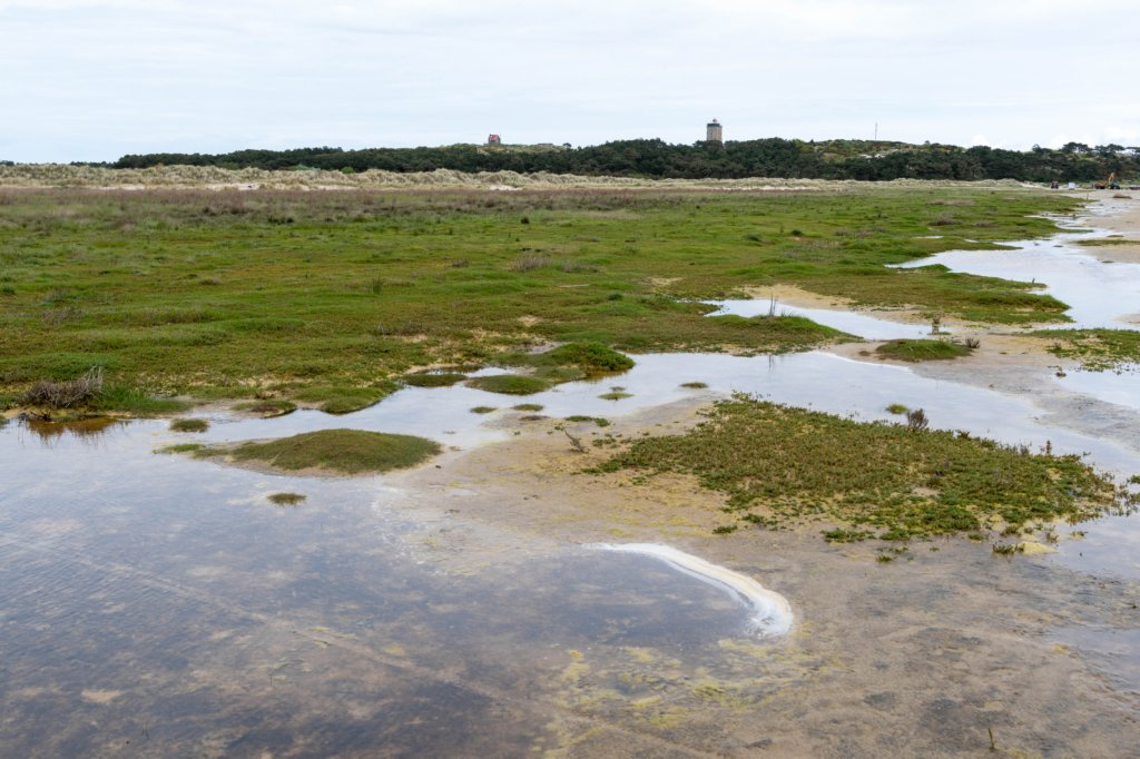 terschelling2023_180.jpg