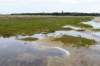 terschelling2023_180_small.jpg
