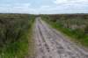 terschelling2023_184_small.jpg