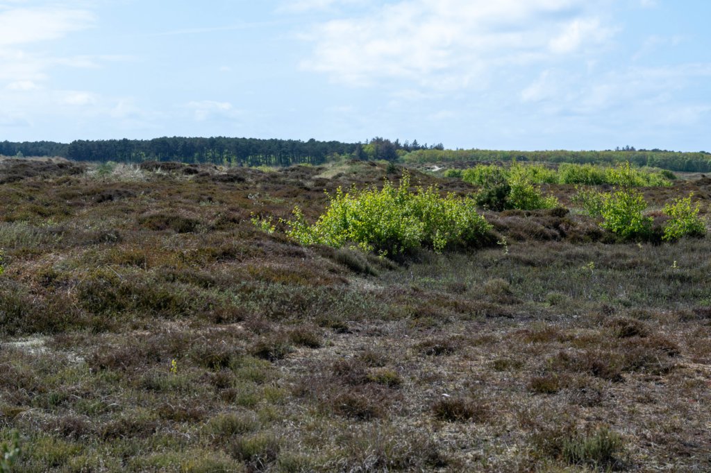 terschelling2023_185.jpg