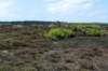 terschelling2023_185_small.jpg
