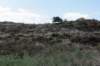 terschelling2023_186_small.jpg
