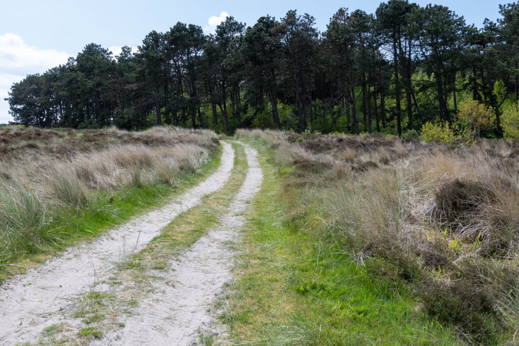 terschelling2023_188.jpg