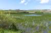 terschelling2023_191_small.jpg