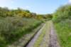 terschelling2023_192_small.jpg