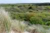 terschelling2023_194_small.jpg