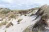 terschelling2023_195_small.jpg