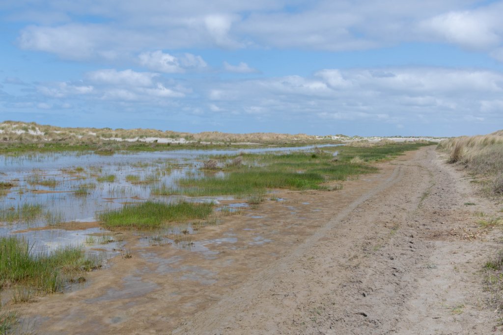 terschelling2023_197.jpg