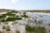 terschelling2023_198_small.jpg