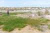 terschelling2023_200_small.jpg