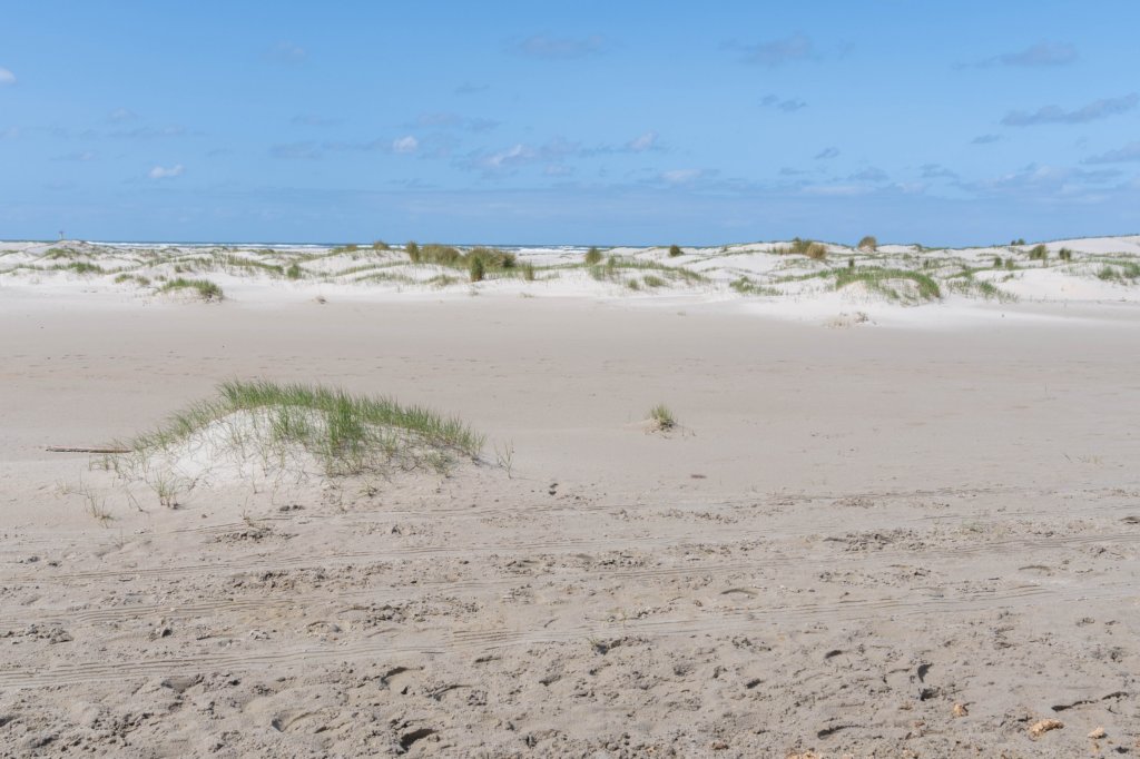 terschelling2023_201.jpg