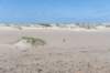 terschelling2023_201_small.jpg